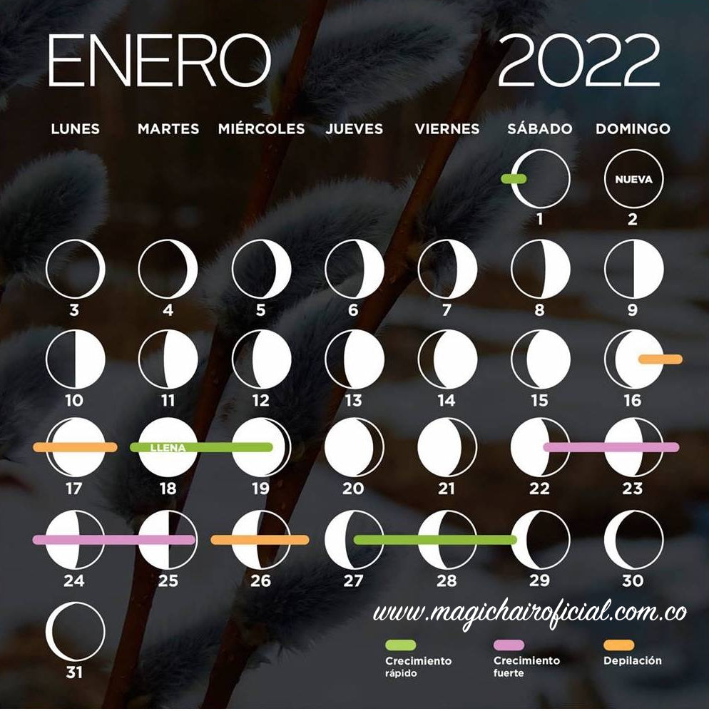 Calendario Lunar Enero 2022
