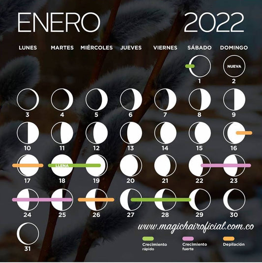 Calendario Lunar Enero 2022