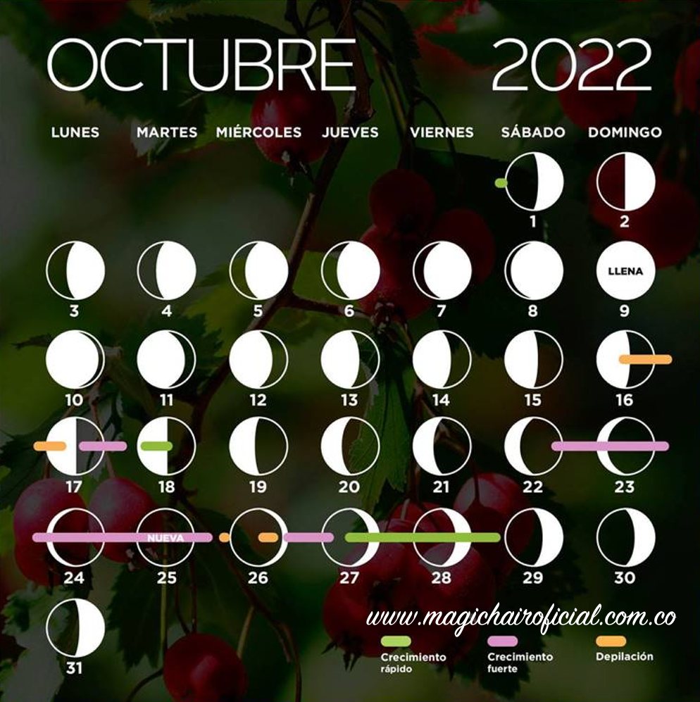 Lunar calendar for October 2022 Magic Hair Official
