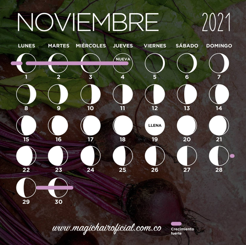 Calendario lunar de noviembre 2021