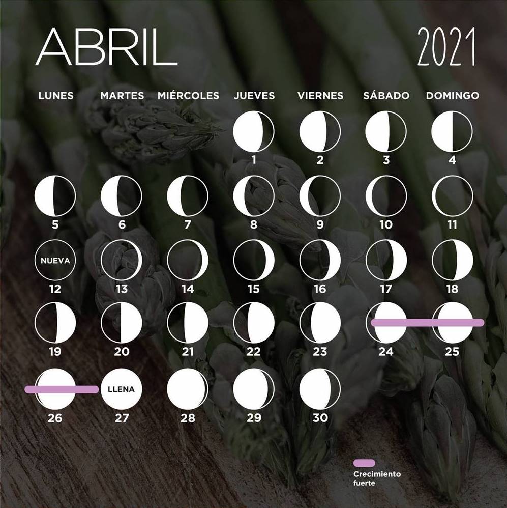 Calendario lunar de abril 2021