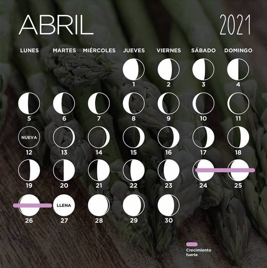 Calendario lunar de abril 2021