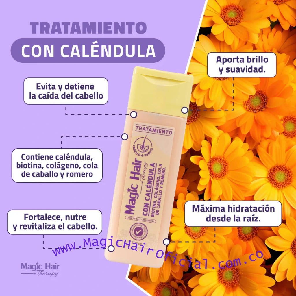 kit tratamiento con Calendula para la Caida del Cabello + Shampoo para la Caída del Cabello Amino Nueva Formula + Acondicionador sin Sal | Magic Hair