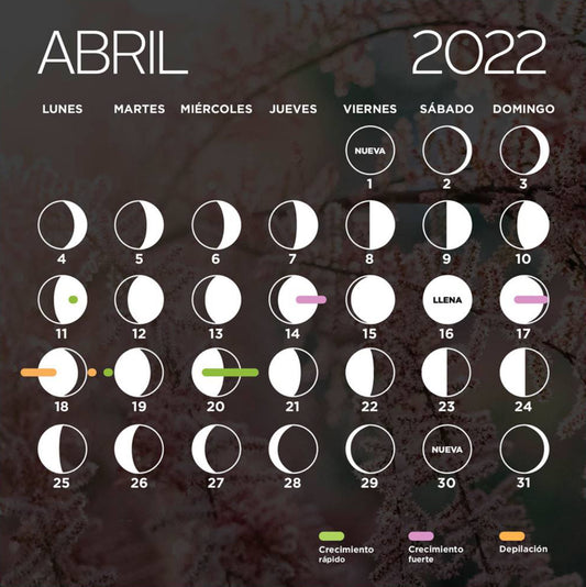 Calendario-lunar-fases-de-la-luna-magic-hair-oficial