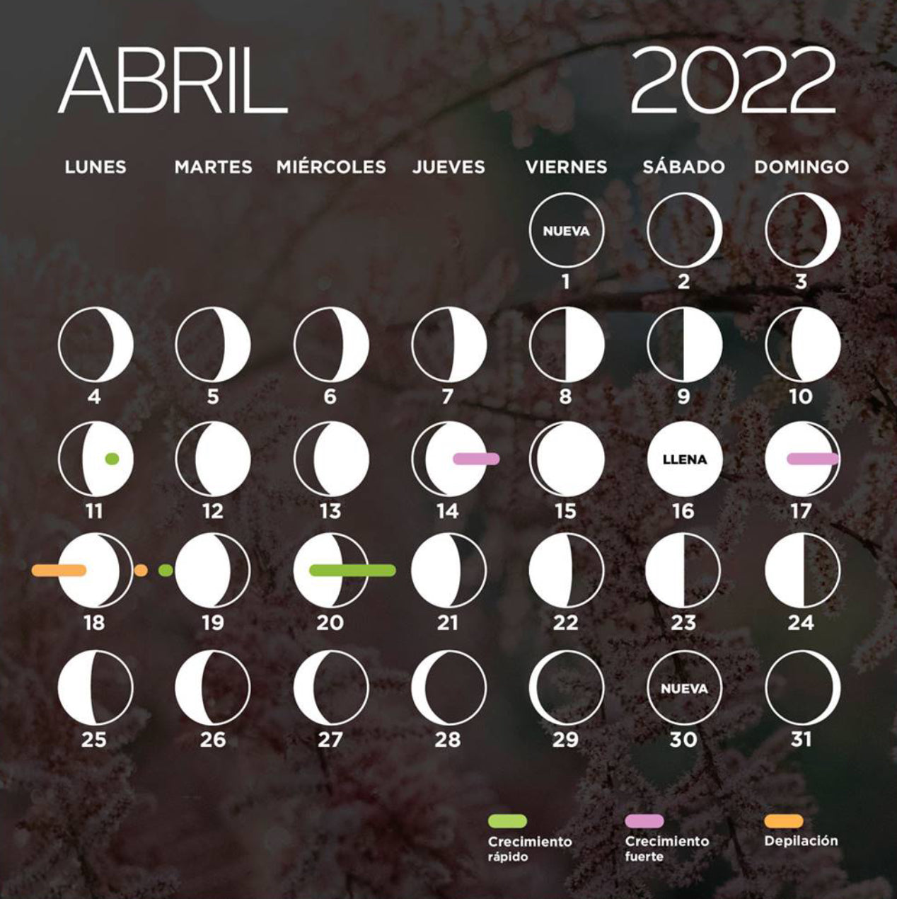 Calendario Lunar Abril 2022