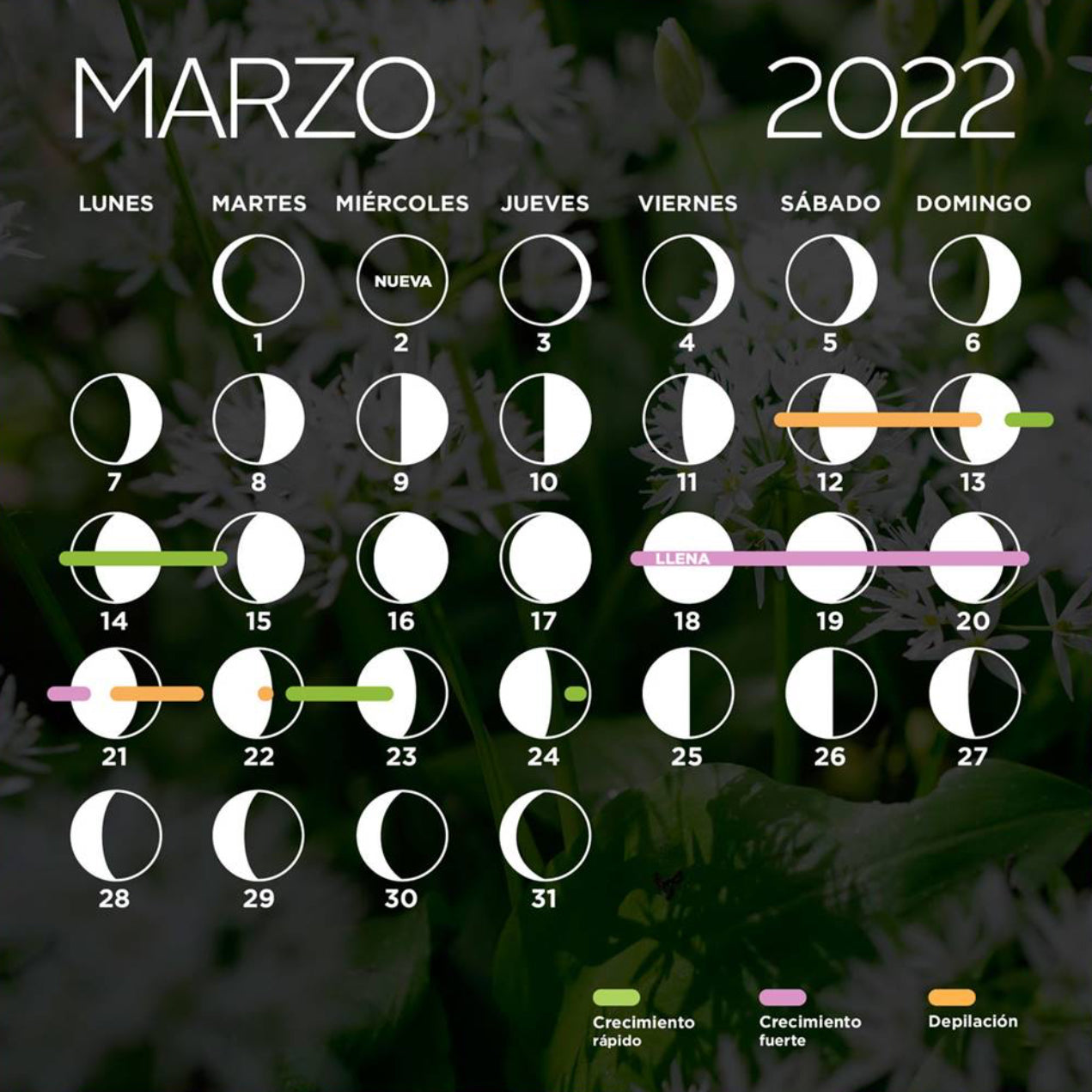 Calendario Lunar Marzo 2022