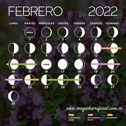 Calendario Lunar Febrero 2022