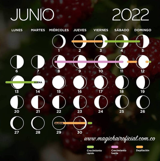 calendario-lunar-junio-2022-fases-de-la-luna-magic-hair-oficial