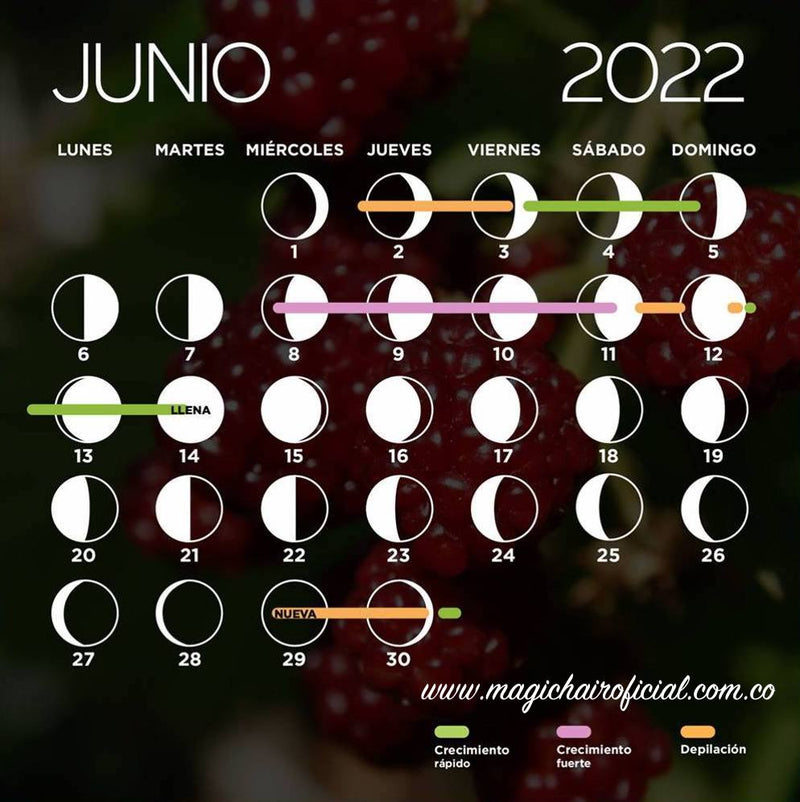 Calendario lunar de junio 2022