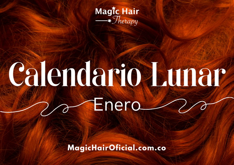 Calendario Lunar Enero 2024: Descubre los Secretos para Cuidar tu Cabello con la Energía de la Luna