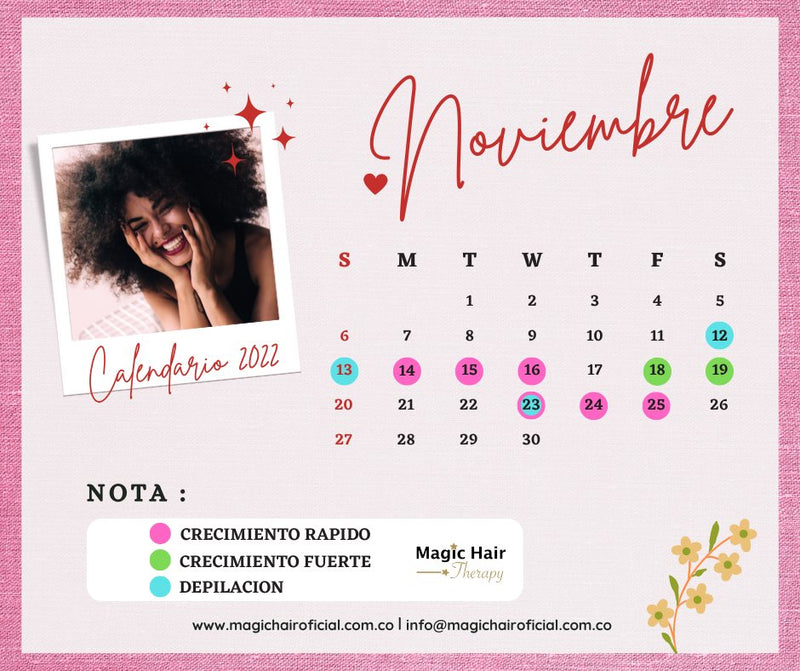 Calendario lunar de noviembre 2022