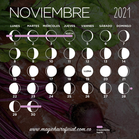 Calendario lunar de noviembre 2021
