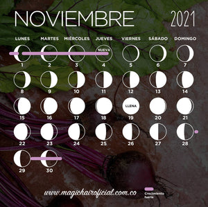 Calendario lunar de noviembre 2021