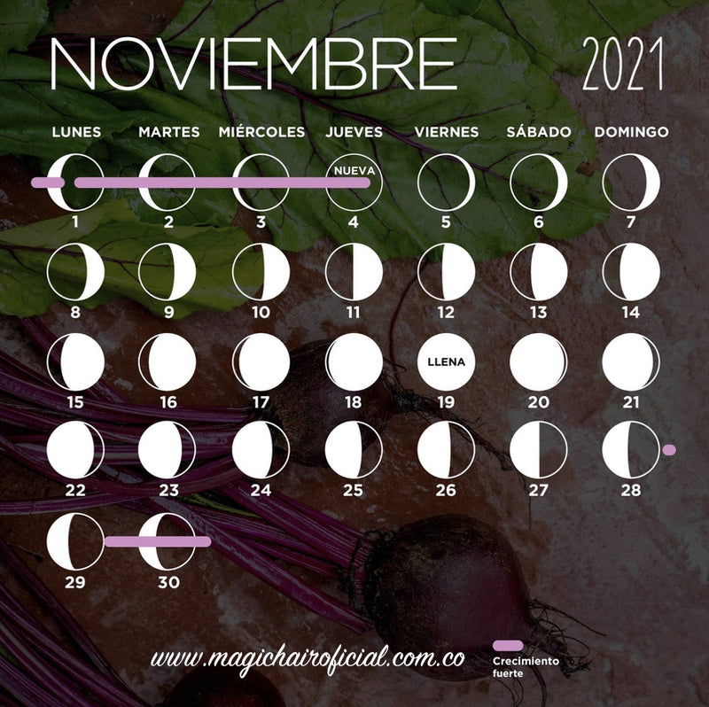 Calendario lunar de noviembre 2021