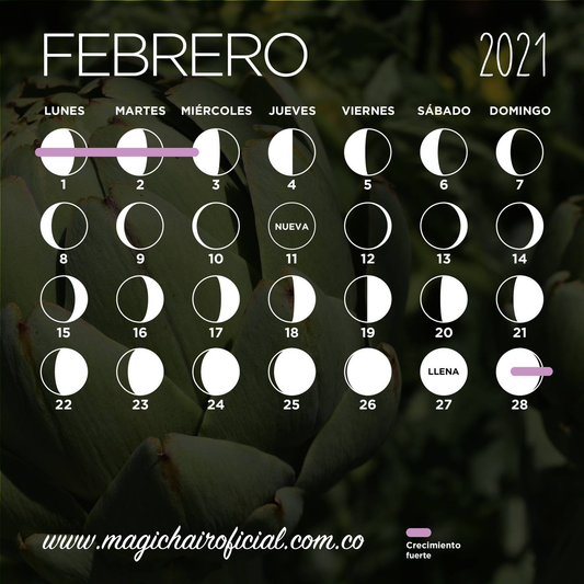 calendario_lunar_febrero_2021_magic_hair_oficial