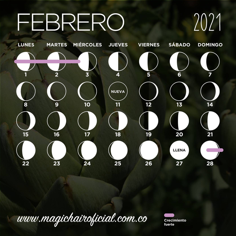 Calendario lunar febrero 2021
