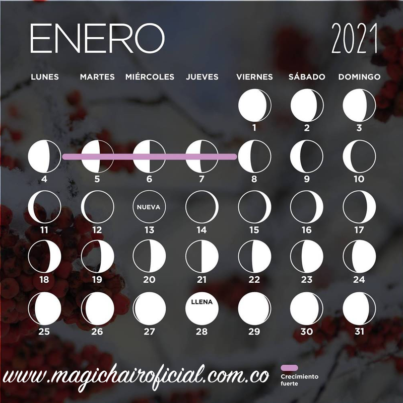Calendario Lunar de enero 2021
