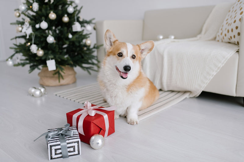 ¡GIVEAWAY ESPECIAL DE NAVIDAD!