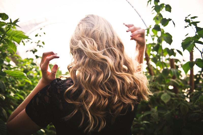 Cómo cuidar el pelo seco y sin vida para recuperar su salud (antes de que se rompa)