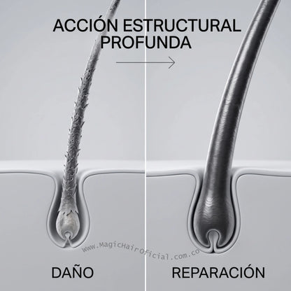 Kit Shampoo Para La Caida Del Cabello Con Ginseng En Cabello Fino 2 Unds